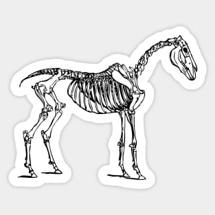 Skeleton Horse Sticker